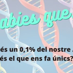Només un 0,1% de l’ADN ens fa únics